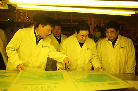 省政协领导到中国科技有限公司调研指导工作